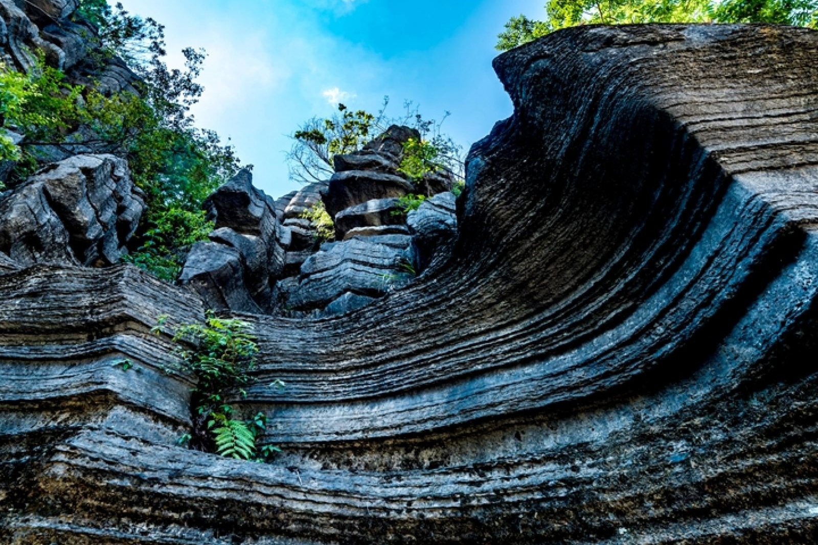 Enshi Suobuyai Stone Forest Scenic Area
